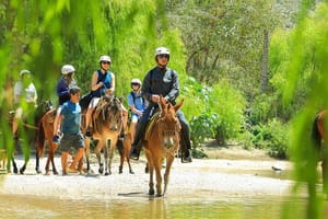 Sea Safari & Beach BBQ at secluded Pizota jungle beach