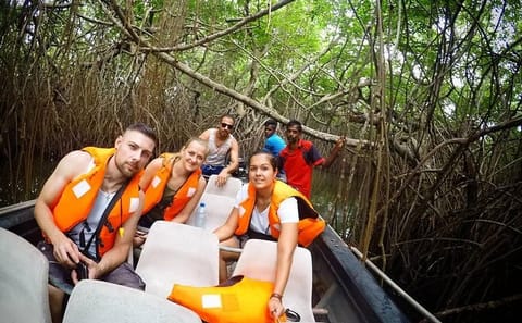 Madu River Boat Safari Tour in Balapitiya, Sri Lanka
