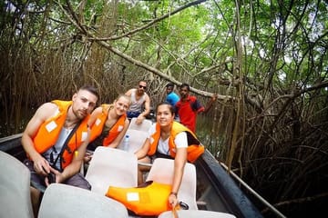 Madu River Boat Safari Tour in Balapitiya, Sri Lanka