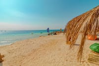 Premium Magawish Island, Crystal Waters & Coral Reef Adventure - Hurghada 6