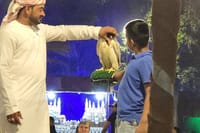 Picture with Falcon
