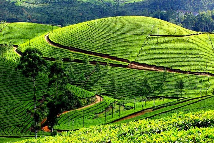 GODS OWN PLACE-KERALA TOUR