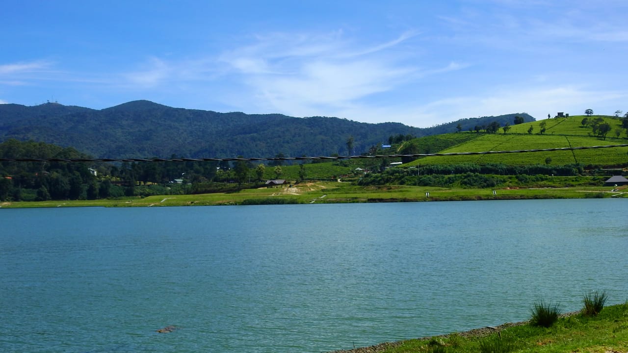 03 Day Nuwara Eliya & Ambewela Tour 6