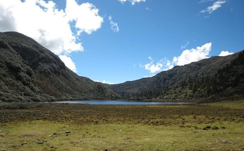 Druk Path Camping Trek: 7 Days in Bhutan's Paro Valley
