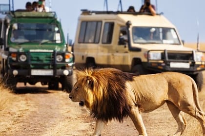 5 Days Nairobi Amboseli Tsavo West and Tsavo East National Park