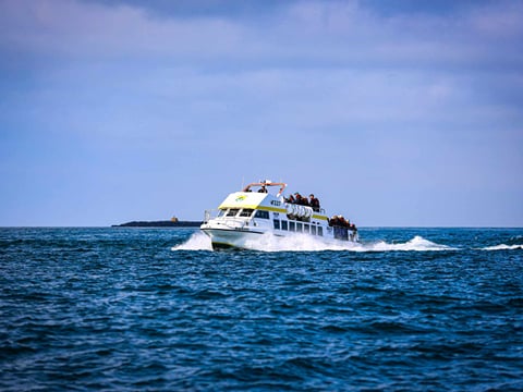 Puffin, island, and volcano boat tour, photo 5