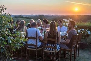 Private Sunset Wine Tour - Full-Day Wine Tour in Chianti from with Lunch or Dinner at Wine Estate in Tuscany and visit San Gimignano