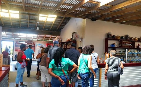 Coxen Hole Sightseeing Tour with Local Factory Visits