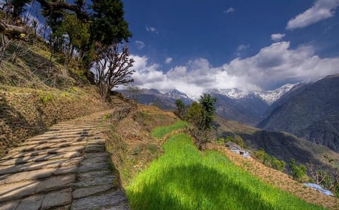 3-Day Trek to Ghandruk Village in Annapurna, Nepal