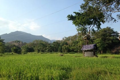 Polonnaruwa Ancient City And Habarana Day Tour From Sigiriya