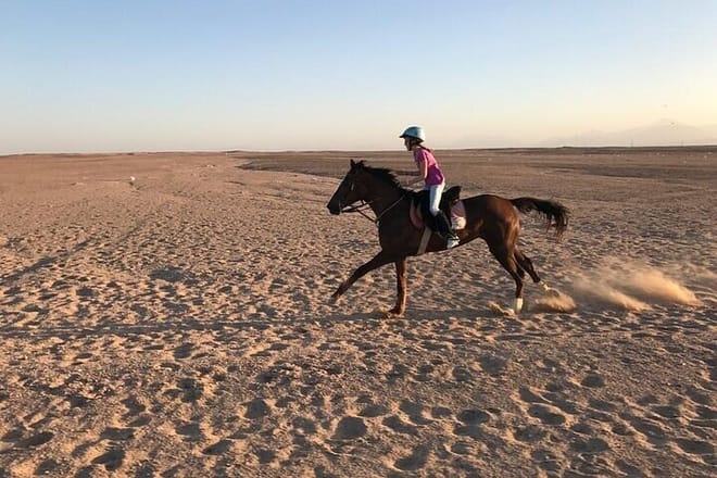 Horse Riding Tour Two Hours Sun &amp; Sea With Transfer - Hurghada