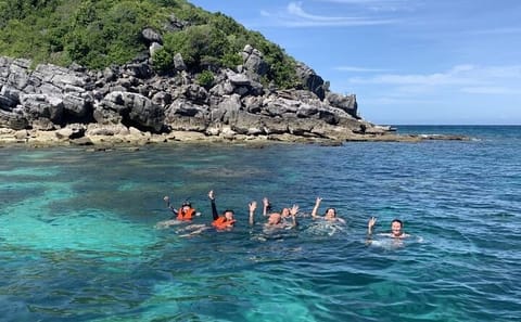 Koh Samui Pig Island Tour by Speedboat with Snorkeling