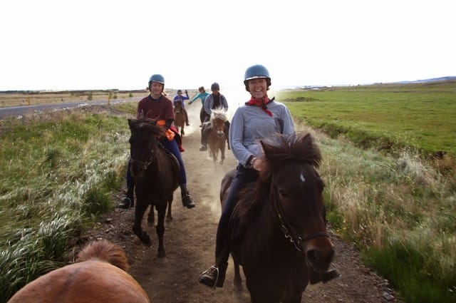 A combination of horseback riding and whale watching