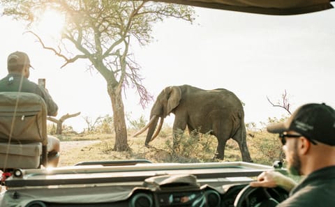2-Day Safari Tour in Tarangire and Ngorongoro Crater, Arusha
