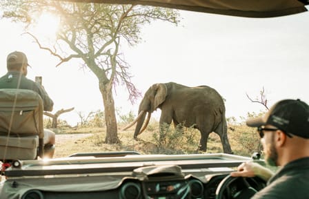 2-Day Safari Tour in Tarangire and Ngorongoro Crater, Arusha