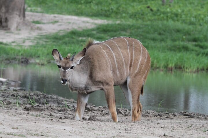 15 minutes scenic helicopter flight above Victoria Falls-Zimbabwe
