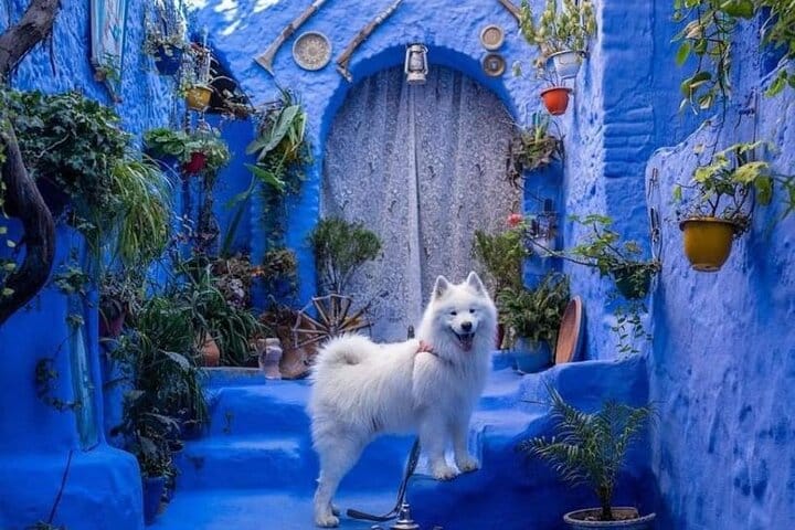 Fes to Tangier via Chefchaouen or the opposite side - PRIVAT TOUR