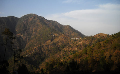 11-Day Mountain Biking and Jungle Safari in Nepal