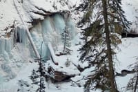 Banff Wildlife Explore and Johnston Canyon Icewalk Tour 6