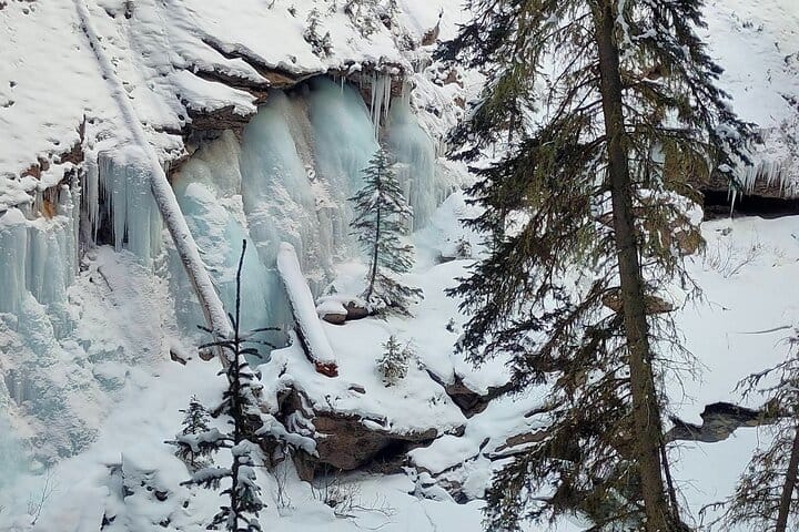Banff Wildlife Explore and Johnston Canyon Icewalk Tour 6