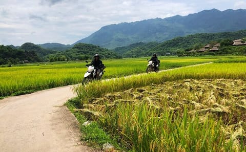Pu Luong Nature Reserve Motorbike Tour 2 Days From Hanoi