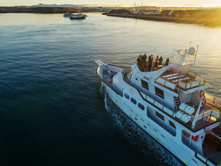 Whale Watching Cruise from Reykjavík, photo 21