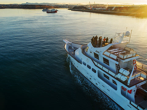 Whale Watching Cruise from Reykjavík, photo 21
