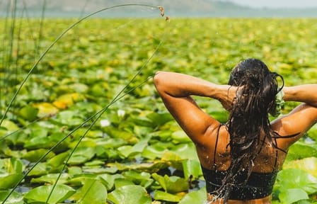 1-hour Kayak Adventure through Skadar Lake from Virpazar