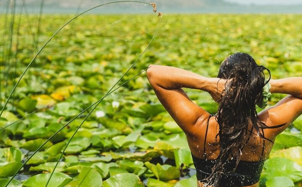 Kayak Tour and Birdwatching at Lake Skadar, Montenegro