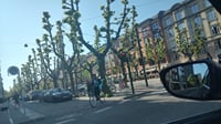 City, Nature & Cycling — Private Experience in Copenhagen 1