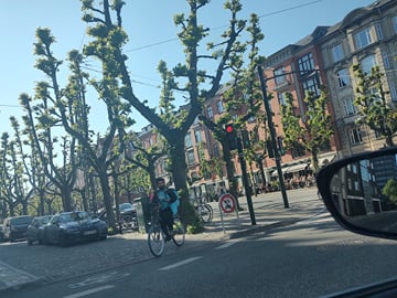 City, Nature & Cycling — Private Experience