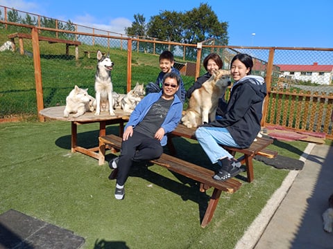 Husky Petting in Akureyri - Private experience, photo 11