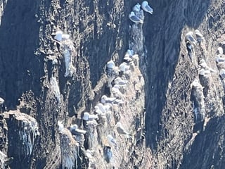 Reykjanes Peninsula Private Tour: Geothermal Areas, Volcanoes, Cliffs & Bridge Between Continents | Complimentary KEF Airport Pickup or Drop, photo 22