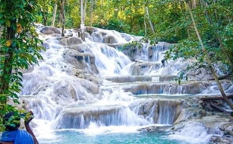 Half-Day Adventure Tour of Dunn's River Falls and Blue Hole in Ocho Rios
