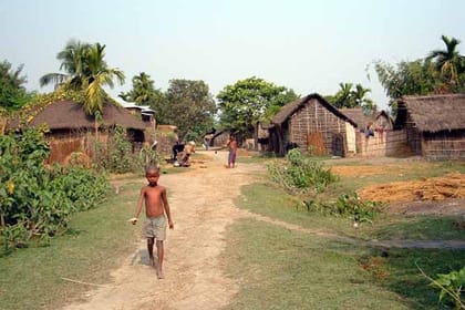 3 Days Koshi Tappu Wildlife Reserve Tour from Kathmandu