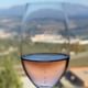Wine Tasting