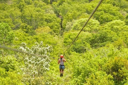 Quad Bike Tour In Barra Do Cunhaú With Tree Canopy