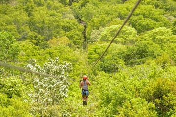 Quad Bike Adventure in Barra Do Cunhaú, Brazil
