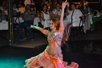 Istanbul Bosphorus Dinner Cruise Turkish Night with Private Table