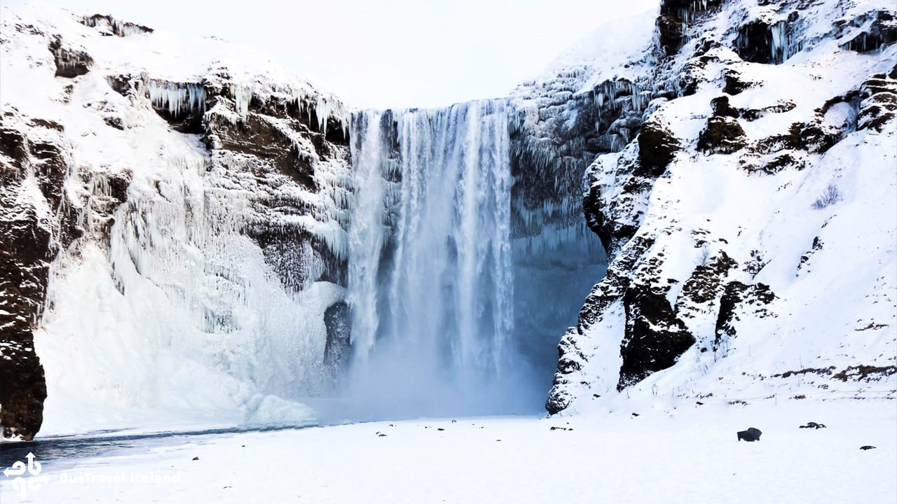 South Coast Small Group Tour: Waterfalls, Glacier & Black Sand Beach  10