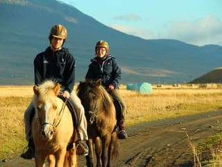 Pleasure in every hoof step, photo 8