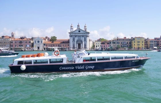 1-hour panoramic tour of Venice by boat