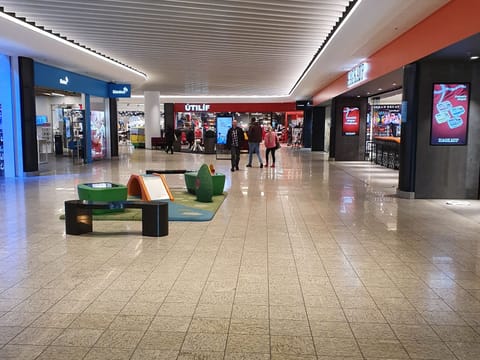Reykjavik Shopping Spree Private Tour, photo 3