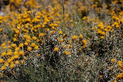 Private Full Day Tour to Colina Hot Springs in Cajón del Maipo