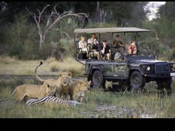Chobe Big Five Day Safari from Victoria Falls: Game Drive & River Cruise