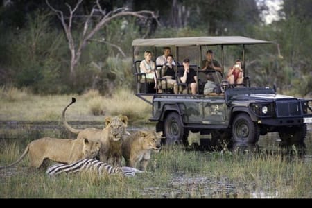Victoria Falls–Chobe Cross-Border Day Safari