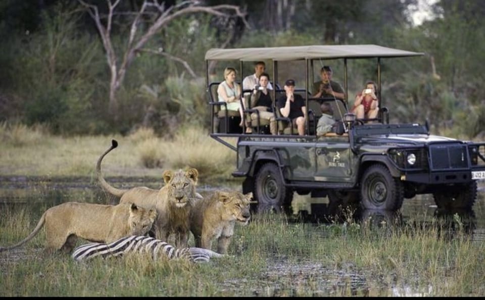 Chobe Big Five Day Safari from Victoria Falls: Game Drive & River Cruise