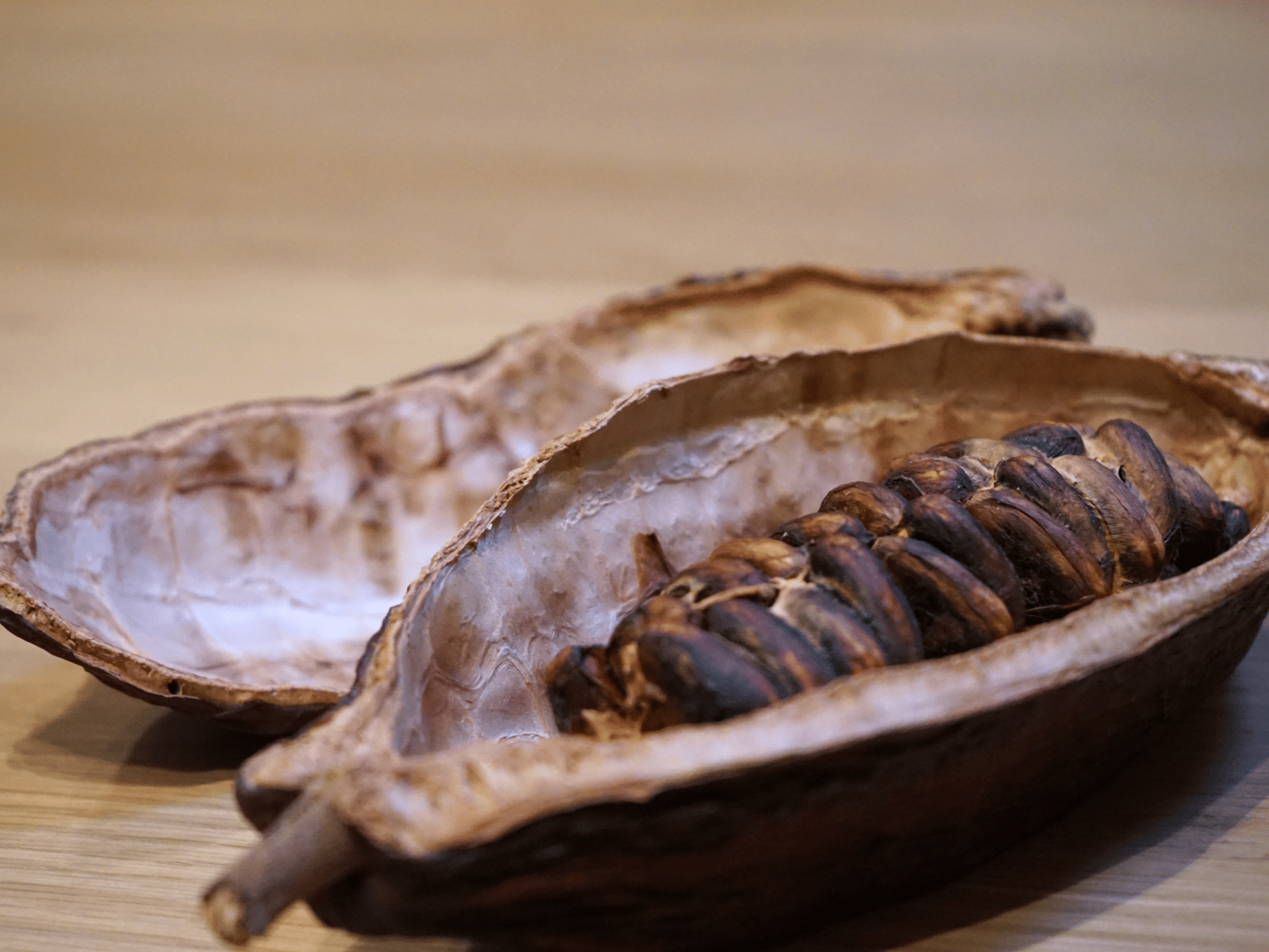 Fine Chocolate Tasting in Turin