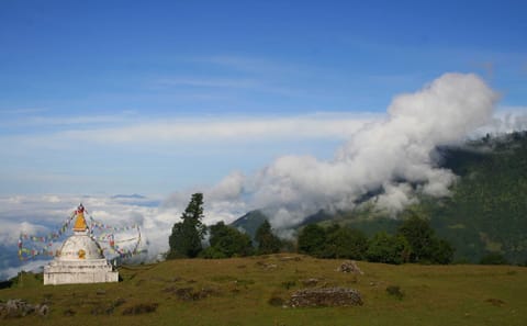Langtang Valley Homestay Trek and Cultural Experience in Nepal