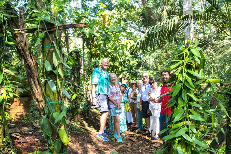 Jardín Botánico con un Biólogo: Flora y Vida Silvestre Tropical